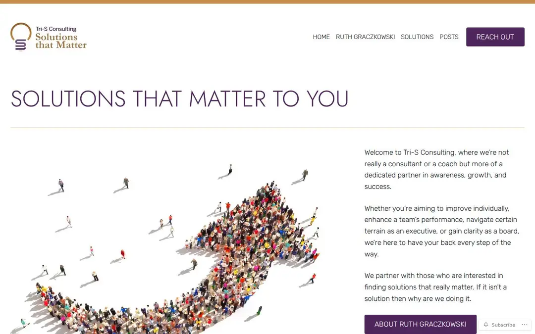 Screenshot of Tri-S Consulting